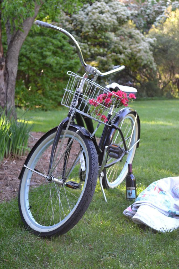 bike in the garden