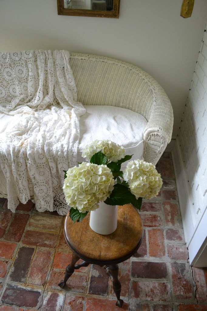 Cottage Fix - white hydrangea blooms