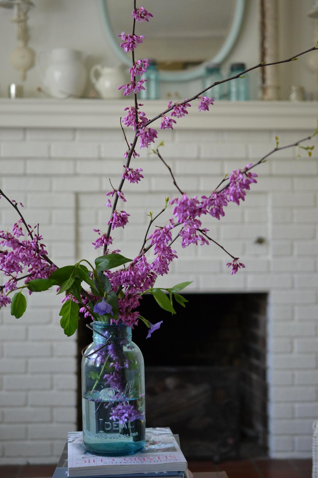 Cottage Fix - redbud branches in a blue Ball canning jar