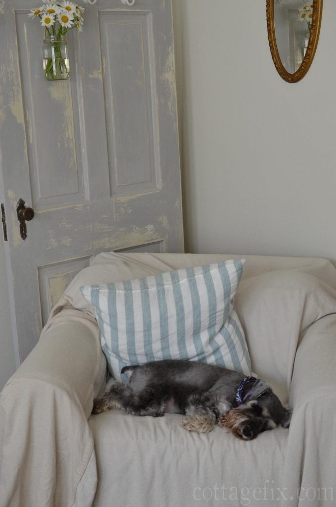 Cottage Fix blog - Miss Paisley sleeping on the drop cloth chair cover