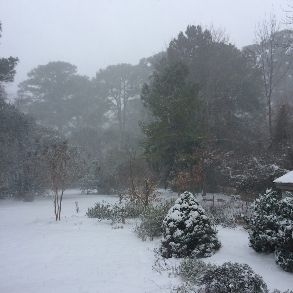 Cottage Fix blog - the back garden under a blanket of snow