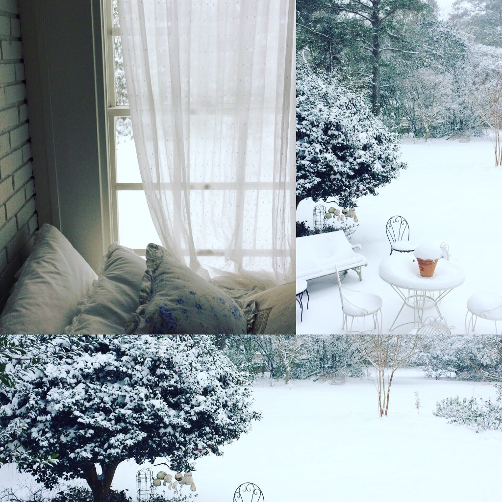 Cottage Fix blog - winter snow storm January 2017