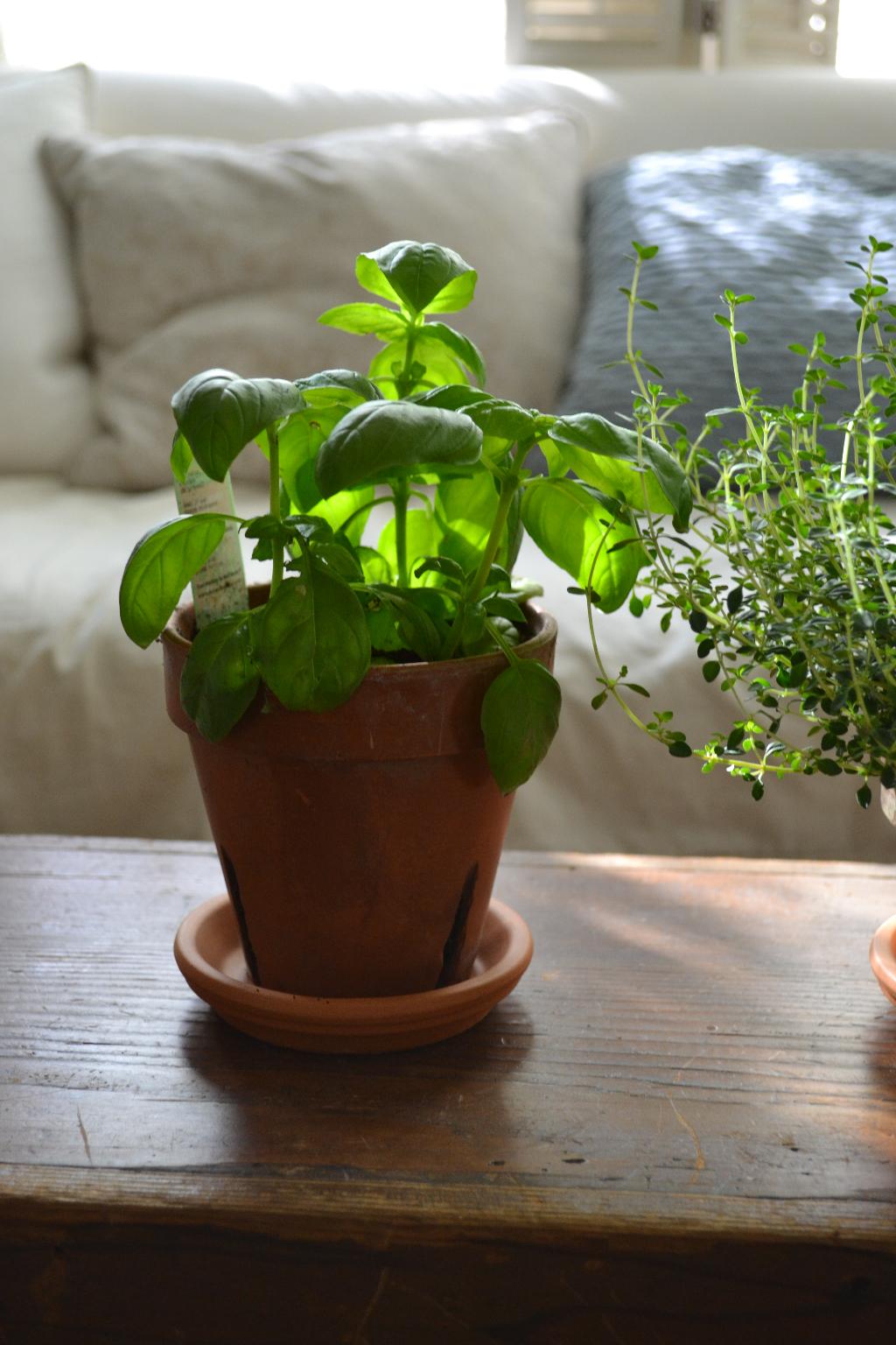 Cottage Fix clay pots inside and out cottage fix