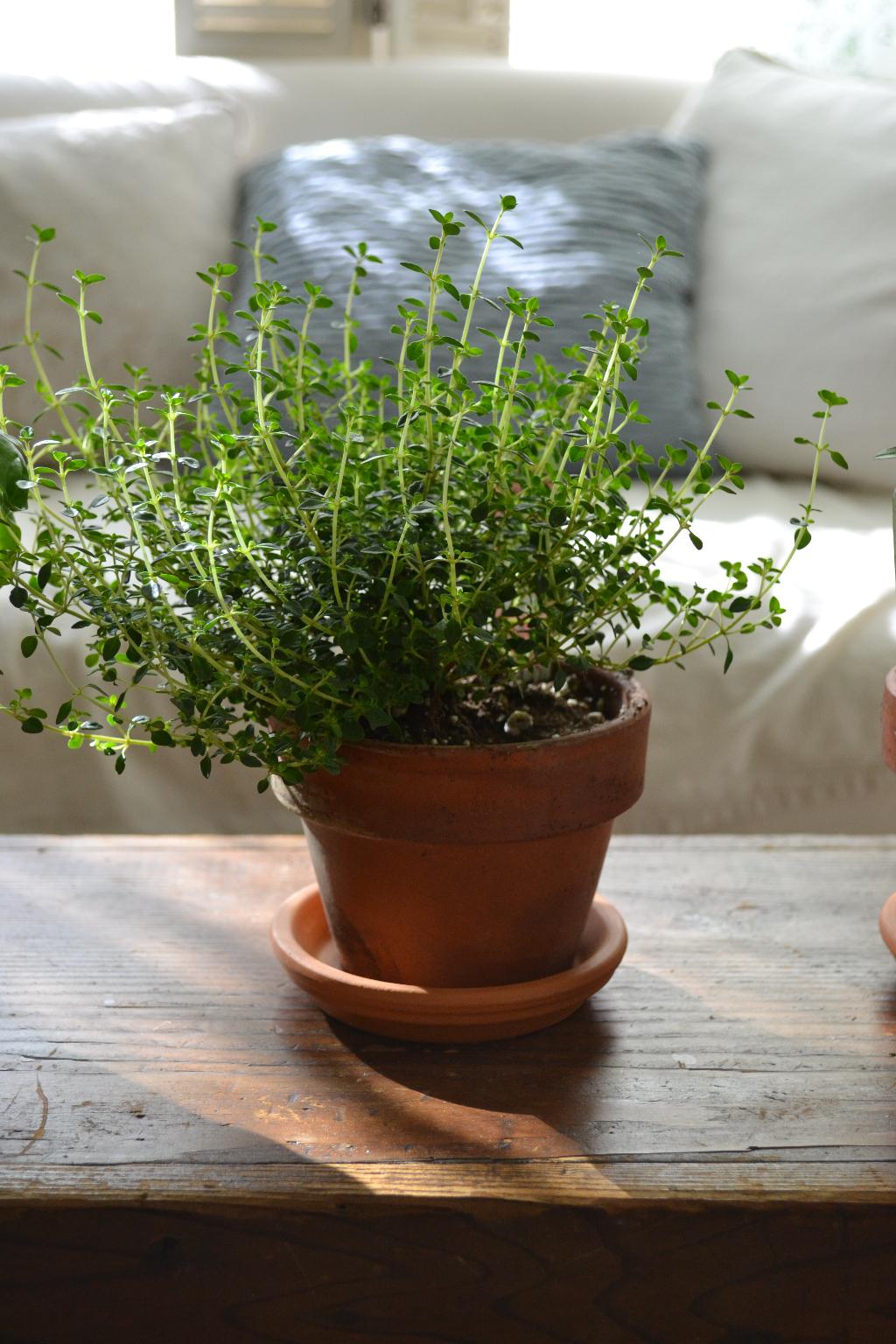 Cottage Fix clay pots inside and out cottage fix