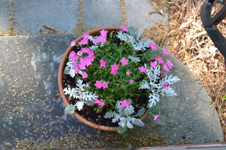 Cottage Fix clay pots inside and out cottage fix