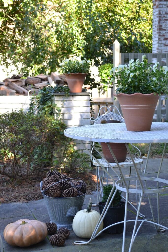 Cottage Fix blog - Pansies and pumpkins